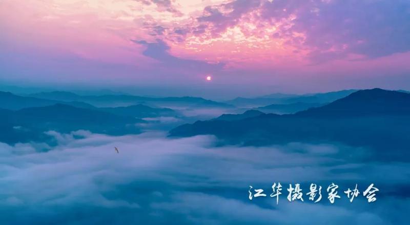 微信图片_20201123162342.jpg