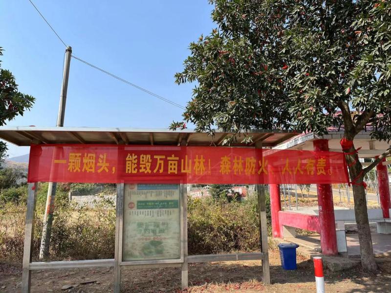 图片 4.png