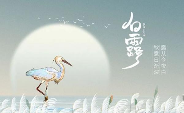 微信截图_20240628183203.png