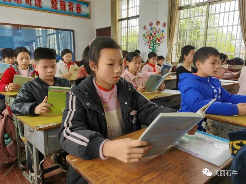 美丽是牛2.jpg